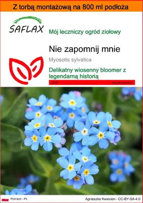 Zdjęcie produktu dla SAFLAX - Garden in the bag - Nie zapomnij mnie - 150 Nasiona - Z podłożem uprawowym w praktycznej, samorozkładającej się torbie - Myosotis sylvatica