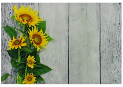 Immagine prodotto di Tovaglietta tessile CLOTH girasoli legno giallo bianco 45x30 cm