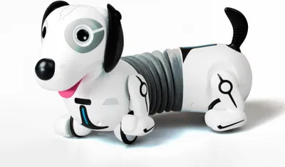 Obrázok produktu pre Silverlit 88570, programovateľný robot, 5 rok / roky, Biela, 1,5 kg