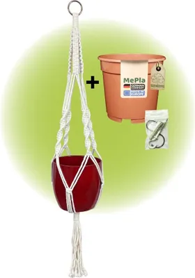 Produktbild von MePla - Set - Ampel Makramee Naturbeige - Basel ø16 Bordeaux + Kulturtopf ø15 + Beipack-Set 21550-001