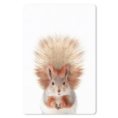 Produktbild von MuchoWow® Mauspad Mousepad Eichhörnchen - Tiere - Natur - Orange - Weiß 40x60 cm - Mousepads - Maus Mat - Pad - Mausunterlage - Schreibtisch Accesoire