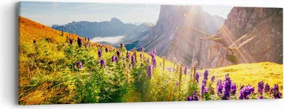 Produktbild von Bild auf Leinwand - Leinwandbild - Berge Wiese Blumen - 90x30cm - Wand Bild - Wanddeko - Wandbilder - Leinwanddruck - Bilder - Kunstdruck - Wanddekoration - Leinwand bilder - Wandkunst - AB90x30-4008