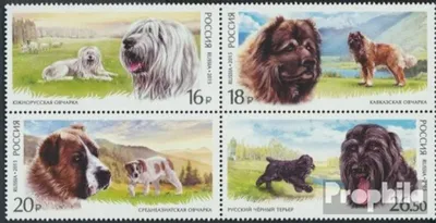 Produktbild von Briefmarken Russland 2015 Mi 2171-2174 Viererblock (kompl.Ausg.) postfrisch Einheimische Diensthunderassen