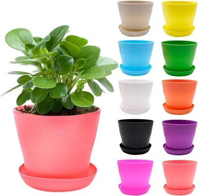 Image de Petits pots miniatures, pratiques et polyvalents, parfaits pour les petites plantes, lot de 10, 10 cm, 10 couleurs