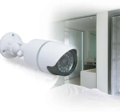 Image de Caméra factice intérieur/extérieur blanc avidsen 123043