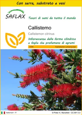 Immagine prodotto di SAFLAX Insieme di coltivazione - Callistemo - 400 semi - Callistemon
