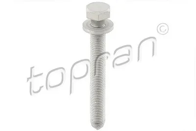 Obrázek produktu pro Šroub TOPRAN 116 950 100 mm
