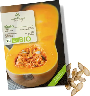 Produktbild von Kürbis Samen (Butternut, 6 Korn) - Kürbis Saatgut aus biologischem Anbau ideal für die Anzucht im Garten, Balkon oder Terrasse