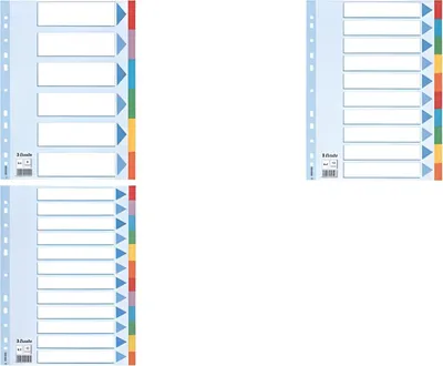 Produktbild von Esselte Multi-coloured Cardboard Dividers, Leerer Registerindex, Karton, A4, 225 mm, 3 mm, 140,00 g