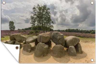 Produktbild von MuchoWow® 60x40 cm Outdoor-Poster Gartendeko Sichtschutz Garten Poster für den Garten  Ein Hünenbett in der niederländischen Provinz Drenthe