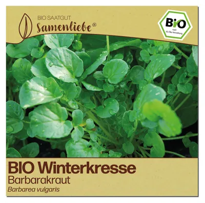 Produktbild von Samenliebe  Winterkresse Samen | Barbarakraut - winterhart & zweijährig & scharf würzig - samenfestes  Saatgut