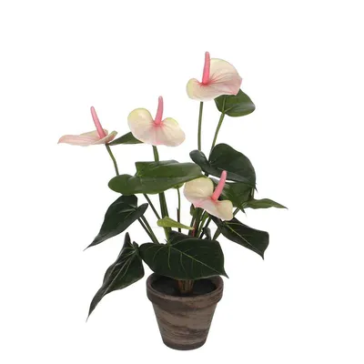 Productafbeelding van Mica Decorations Anthurium Kunstplant in Bloempot Stan - H40 x Ø30 cm - Lichtroze