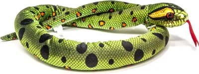 A stuffed toy snake coiled on a white background.
