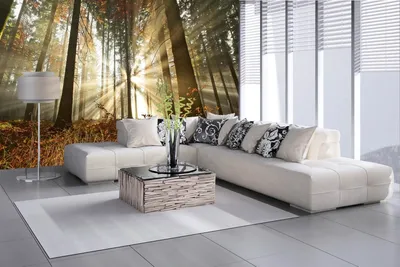 Produktbild von Vlies Fototapete MORGENWALD 375 x 250 cm (inkl. Kleister) - Vlies Tapete, Wandtapete, Wandbilder - Tapete für Wohnzimmer Schlafzimmer, Büro, Küche - Montagefertig