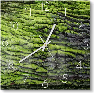 Produktbild von DEQORI Glasuhr 30x30 cm Zahlen 'Moosbewachsene Baumrinde' Wanduhr Glas Uhr Design leise