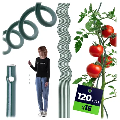 Produktbild von Pflanzenstützstab, langlebiges Material, vielseitige Verwendung, Hellgrün