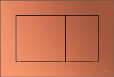 A close-up view of a toilet flush plate with two distinct buttons.
