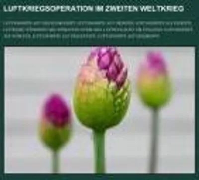 Produktbild von Luftkriegsoperation im Zweiten Weltkrieg
