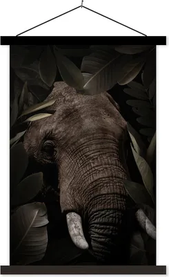 Produktbild von MuchoWow® Textilposter Elefant - Dschungel - Pflanzen 60x90 cm mit schwarzem Rahmen - Poster Wohnzimmer