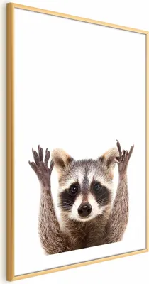 Produktbild von Posterpapier Poster - Raccoon 60x90 cm Für Kinder g-B-0097-ao-a