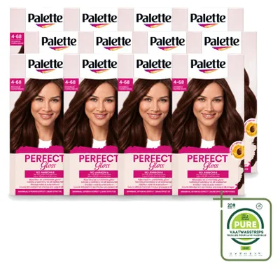 Obrázek produktu pro 12 kusů barviva Palette Perfect Gloss, omyvatelné, intenzivní odstín 1-0 černá - velká balení