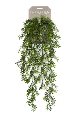 Productafbeelding van Zijdeplant Hangplant op steker Buxus kunstplant Driesprong Collection