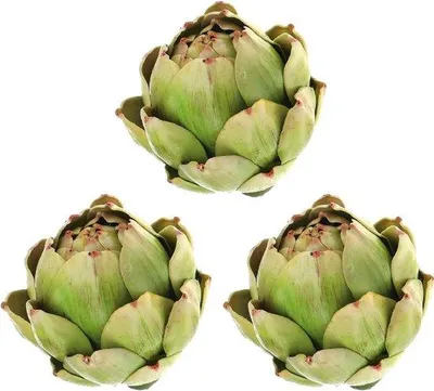 Productafbeelding van Famanu loopmat voor de hal - tapijt - antislip - wasbaar - vuilafstotend - absorberend - zwart