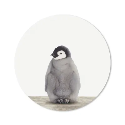 Produktbild von MuchoWow® Mauspad Mousepad Pinguin - Tiere - Baby 40x40 cm - Mousepads - Maus Mat - Pad - Mausunterlage - Schreibtisch Accessoires