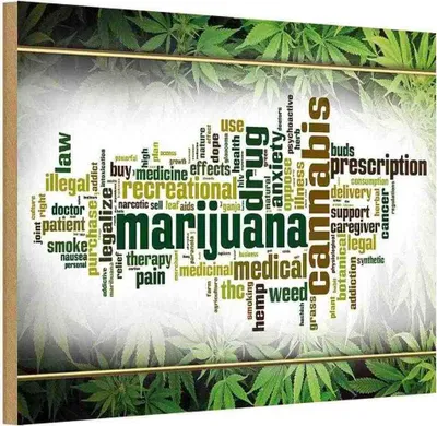 Produktbild von vianmo Holzschild 12x18 cm Cannabis Marijuana therapy pain smoke