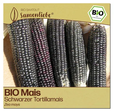Produktbild von Samenliebe  Mais Samen | Tortillamais - schwarzer - samenfestes  Saatgut