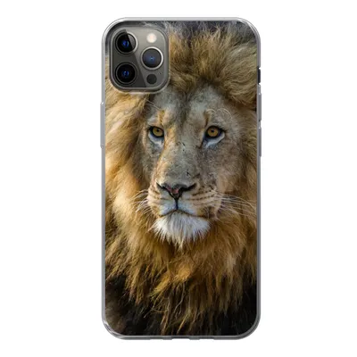 Produktbild von MuchoWow® Handyhülle Schutzhülle Hülle für iPhone 12 Pro Max Löwe - Porträt - Wild Silikon Softcase Handy Hülle - Hartschale