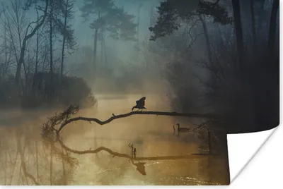 Produktbild von MuchoWow® Poster Wald - Wasser - Vogel 90x60 cm - Schlafzimmer