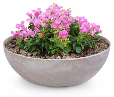 Immagine prodotto di Ciotola per piante da esterno Ciotola decorativa rotonda beige sabbia 37 cm
