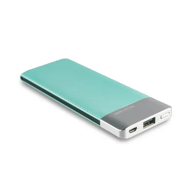 Image de Realpower RealPower PB-5500 Fashion Lithium Polymer (LiPo) 5500 mAh Blue