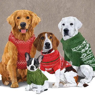 Produktbild von Servietten 33x33cm Sweater Dogs