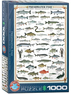 Obrázek produktu pro Puzzle 1000 Freshwater Fish 6000-0312