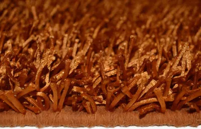 Image de Sikim terra hirsute (170x240 cm)
