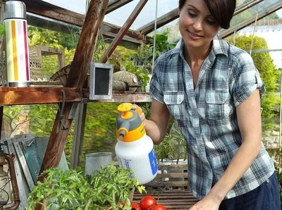 Produktbild von Drucksprüher mit ergonomischem Handgriff - ideal für Pflanzenpflege - 1,25 L