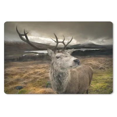 Produktbild von MuchoWow® Schreibtischunterlage Geweih - Hirsch - Gebirge 60x40 cm - XXL Mauspad - Großes Mauspad
