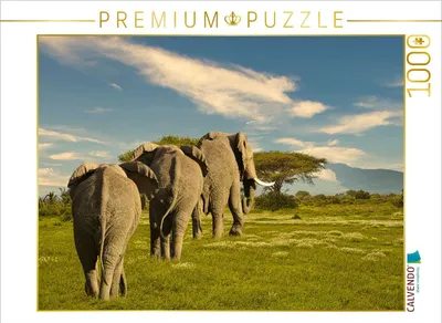 Produktbild von CALVENDO Puzzle Elefanten | 1000 Teile Lege-Größe 64x48cm Foto-Puzzle für glückliche Stunden