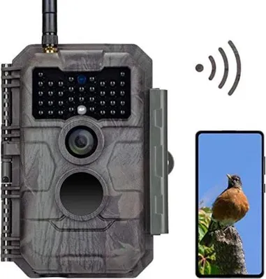 Image de Caméra de surveillance de la faune sauvage avec vision nocturne - Caméra d'extérieur - Surveillance de la faune sauvage - Caméra de vision nocturne pour l'extérieur