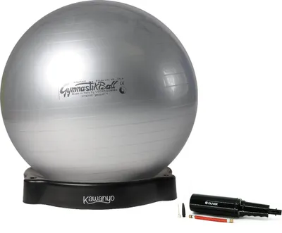 Produktbild von Original Pezzi® Gymnastikball STANDARD m.Ballschale u. Pumpe - silber