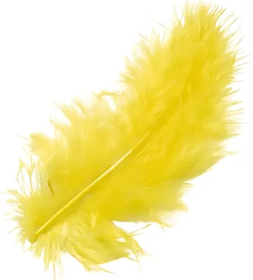 Produktbild von KNORR PRANDELL 216619053 Marabufedern ca. 10 cm gelb