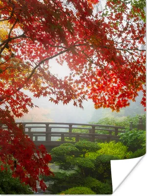 Produktbild von MuchoWow® Poster Japanischer Ahorn - Bäume - Brücke - Natur - Japanisch 90x120 cm - Wohnzimmer