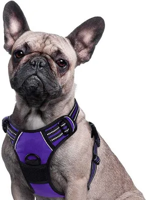 Produktbild von Famanu Hundegeschirr – Anti-Zieh-Geschirr – Verstellbar – Schwarz