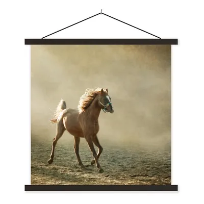 Produktbild von MuchoWow® Textilposter Pferd - Sand - Nebel 40x40 cm mit schwarzem Rahmen - Fotos