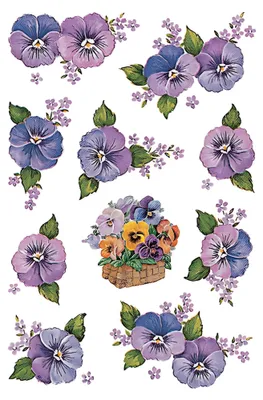 Immagine prodotto di Herma 3818 DECOR adesivi teste di viola del pensiero