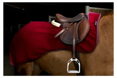 Produktbild von Nierendecke Teddy EquiTheme Bordeauxrot 125 cm