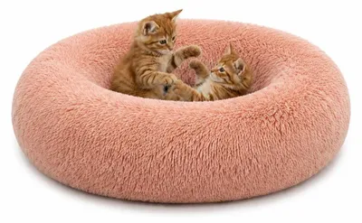 Produktbild von lionto Donut Katzenkissen, rundes Bett mit Plüschbezug & Anti-Rutsch-Boden, erhöhter Rand für Geborgenheit, 70 cm Durchmesser, rosa