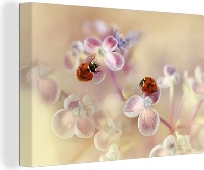 Produktbild von OneMillionCanvasses® - Leinwandbilder - 140x90 cm, Blumen - Blütenblätter - Marienkäfer, Wandbilder Kunstdruck Wanddekoration